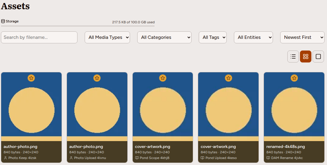 The Assets library showing the storage meter, search and filter controls, view toggles, and a grid of asset cards